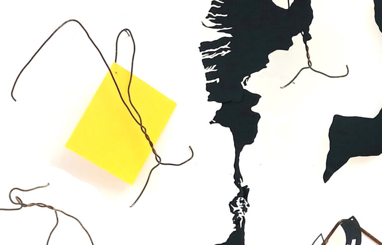 fuerza suave-uade-04